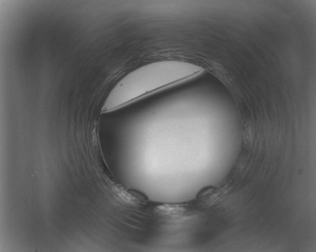 X0000060780477200511101013