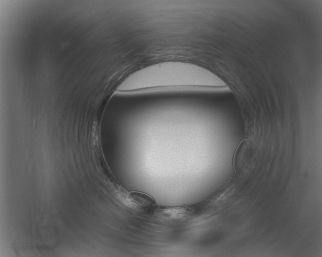 X0000060780478200511101013