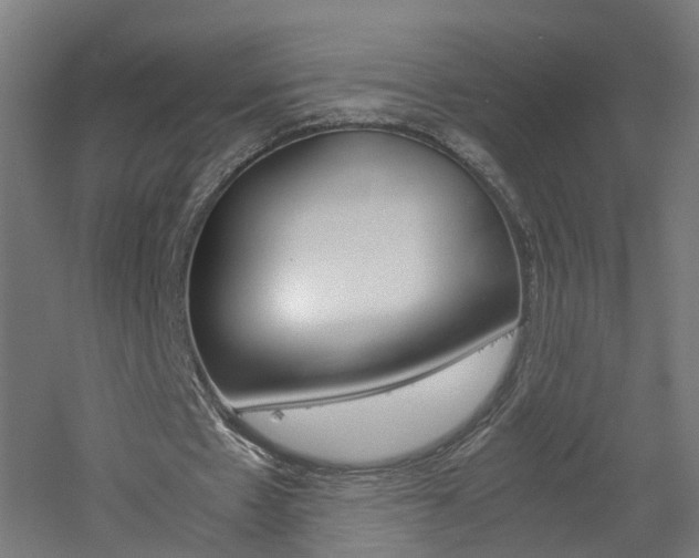 X0000060780481200511101012