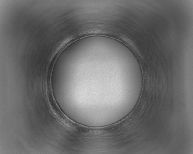 X0000060780482200511101012