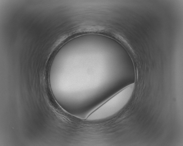 X0000060780483200511101012