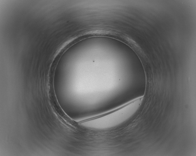 X0000060780484200511101012