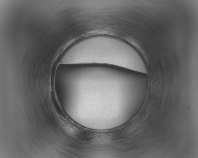 X0000060780486200511101012