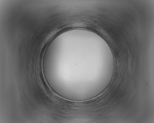 X0000060780487200511101012