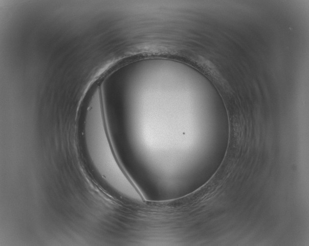 X0000060780488200511101012