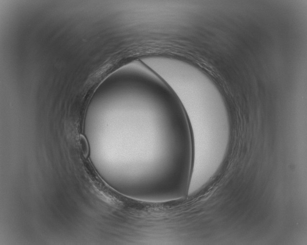 X0000060780489200511101012