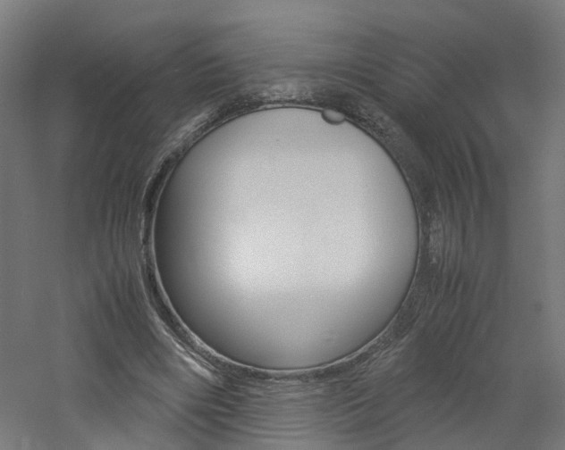 X0000060780490200511101012