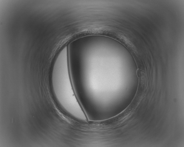 X0000060780493200511101012