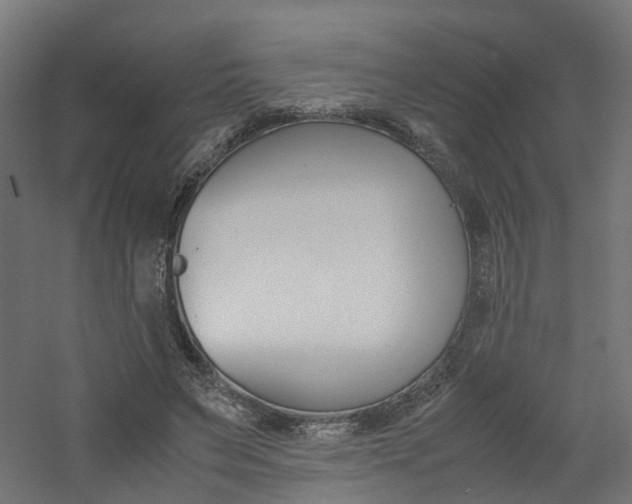 X0000060780495200511101012