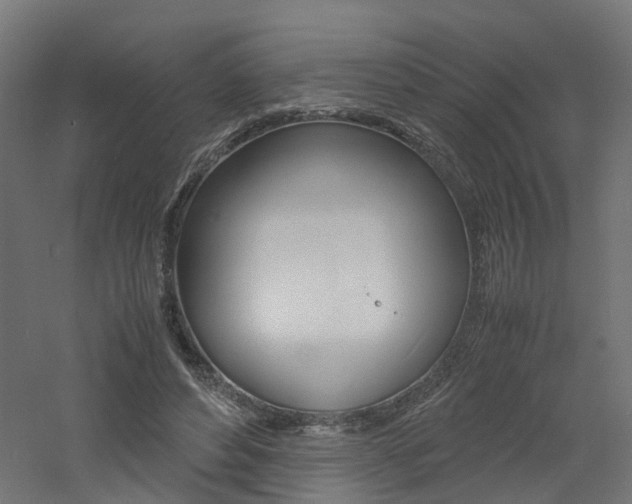 X0000060780496200511101012