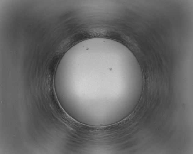 X0000060780498200511101012