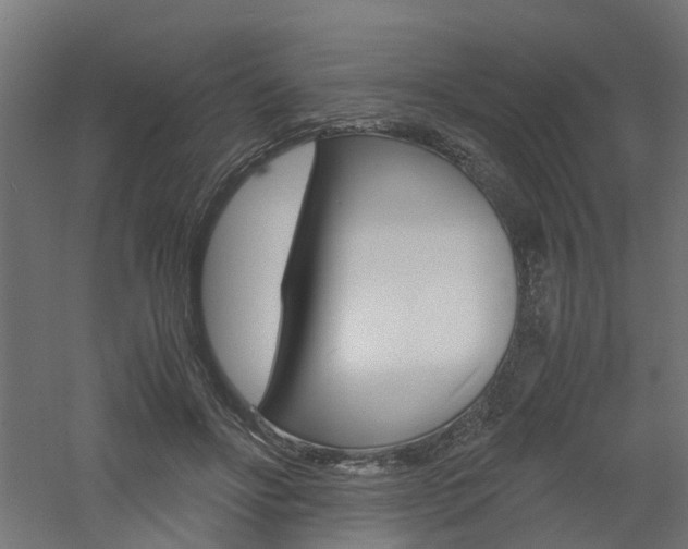 X0000060780502200511101012