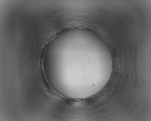 X0000060780504200511101012