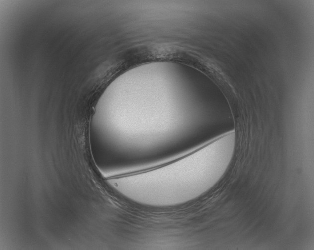 X0000060780505200511101012