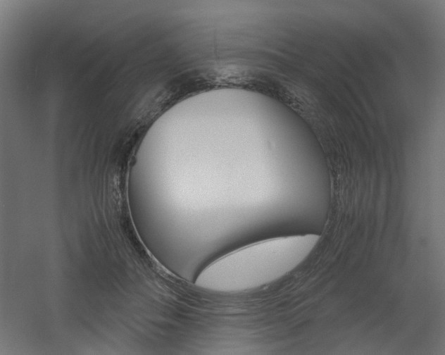 X0000060780506200511101012
