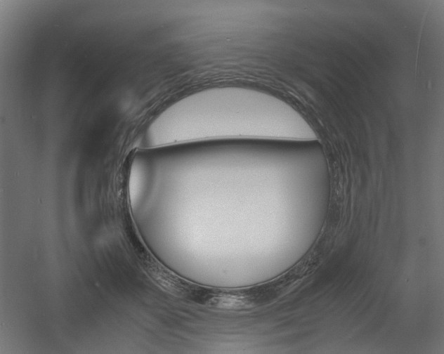 X0000060780507200511101012