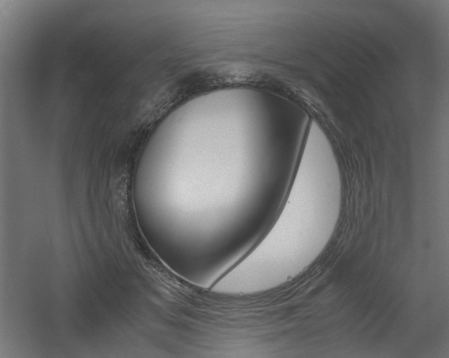 X0000060780509200511101012