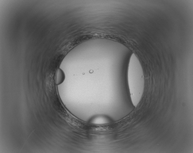 X0000060780511200511101012