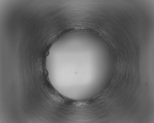 X0000060780512200511101012