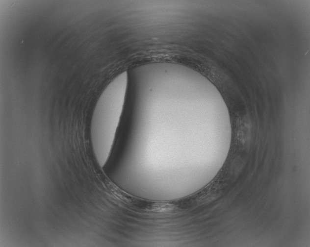 X0000060780514200511101012