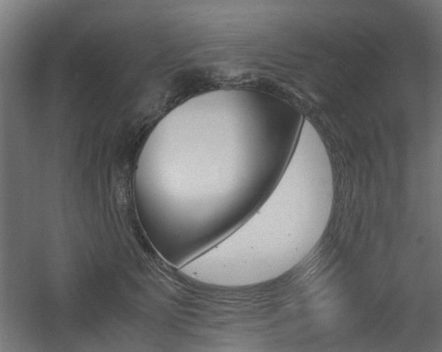 X0000060780515200511101011