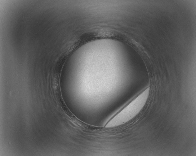X0000060780517200511101011