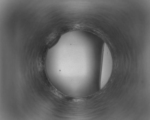 X0000060780520200511101011
