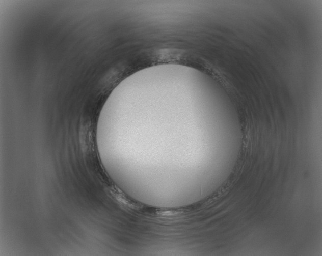 X0000060780522200511101011