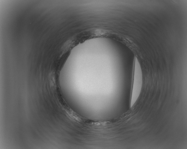 X0000060780524200511101011