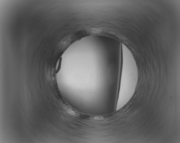 X0000060780525200511101011
