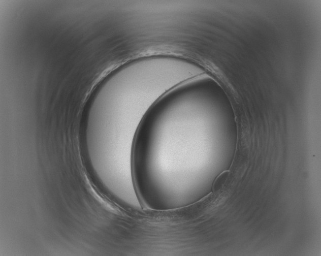 X0000060780530200511101010