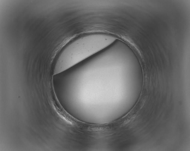 X0000060780533200511101011