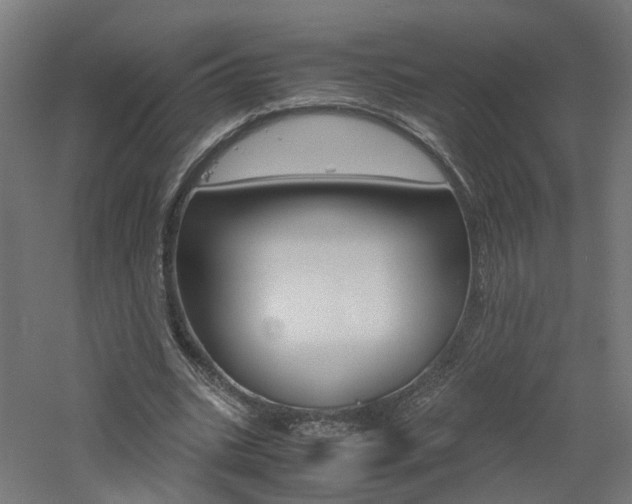 X0000060780535200511101011