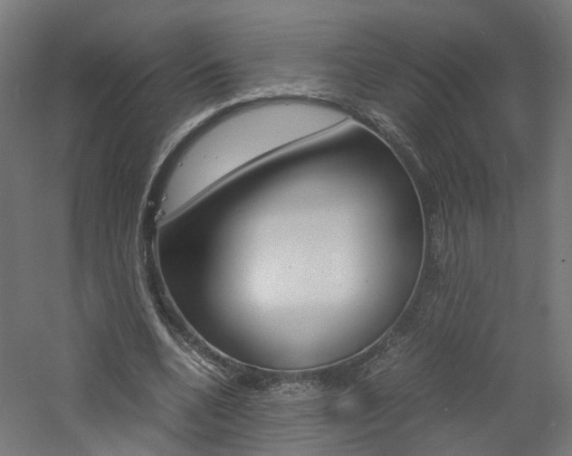 X0000060780536200511101011