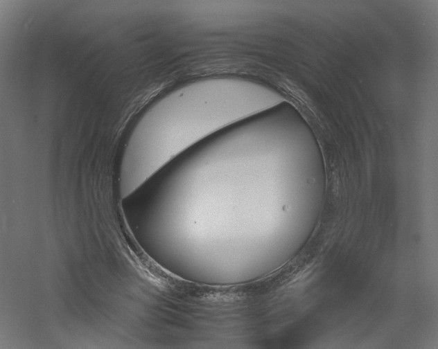 X0000060780537200511101011