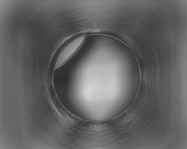 X0000060780540200511101011