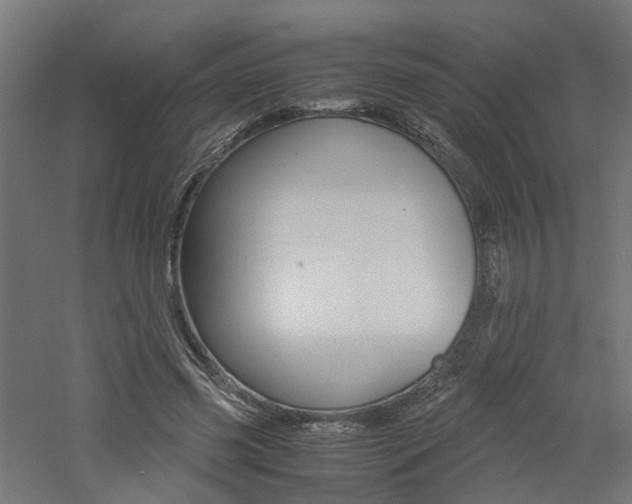 X0000060780541200511101011
