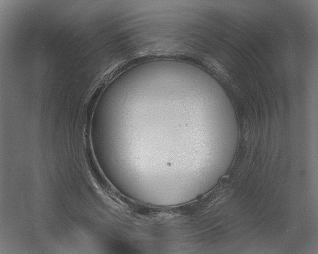 X0000060780542200511101011