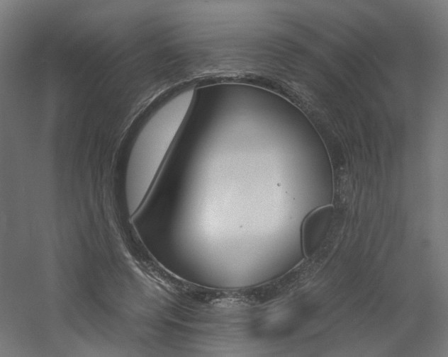 X0000060780544200511101011