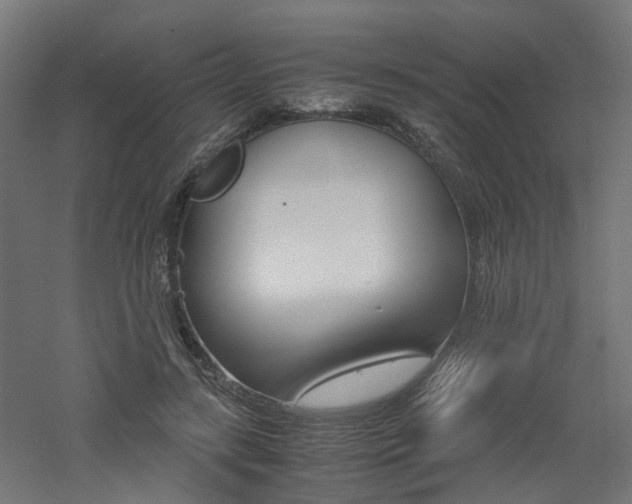 X0000060780547200511101011