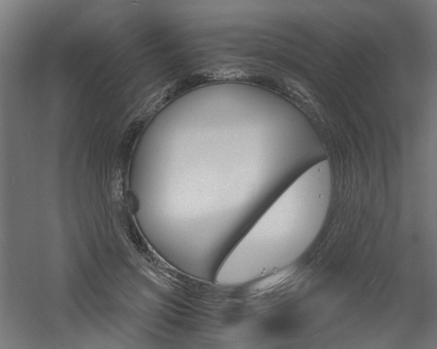 X0000060780549200511101011