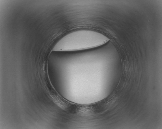 X0000060780550200511101011