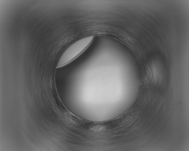 X0000060780551200511101011