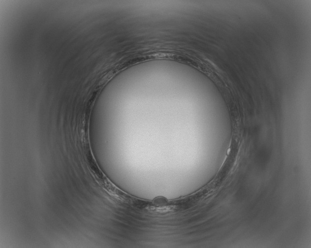 X0000060780553200511101011