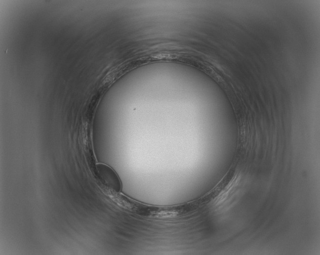 X0000060780554200511101011
