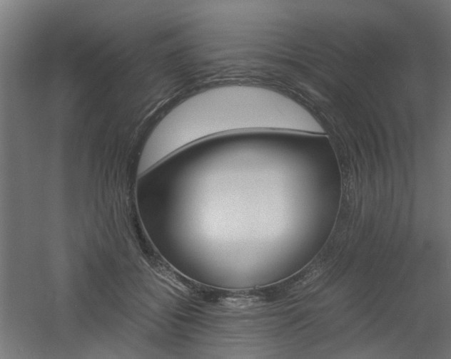 X0000060780556200511101011