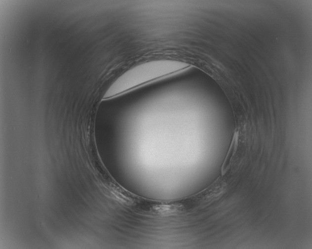 X0000060780558200511101011