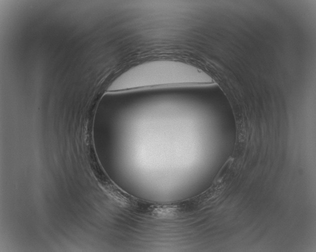 X0000060780560200511101011