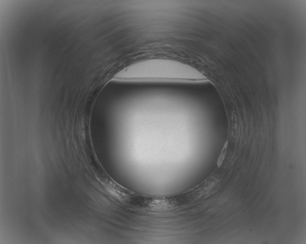 X0000060780562200511101011