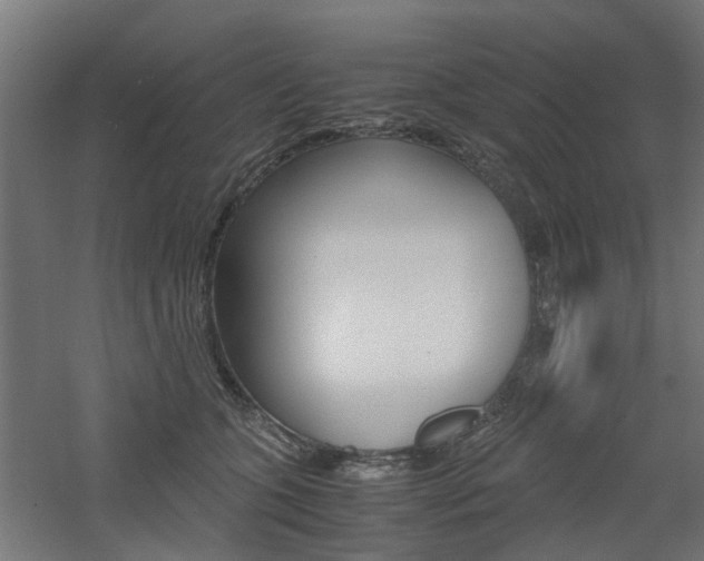 X0000060780563200511101011